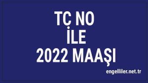 tc-no-ile-2022-maasi-sorgulama